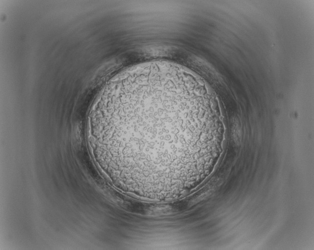X0000072510410200608041511