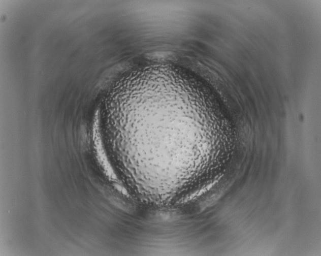 X0000072510420200608041511