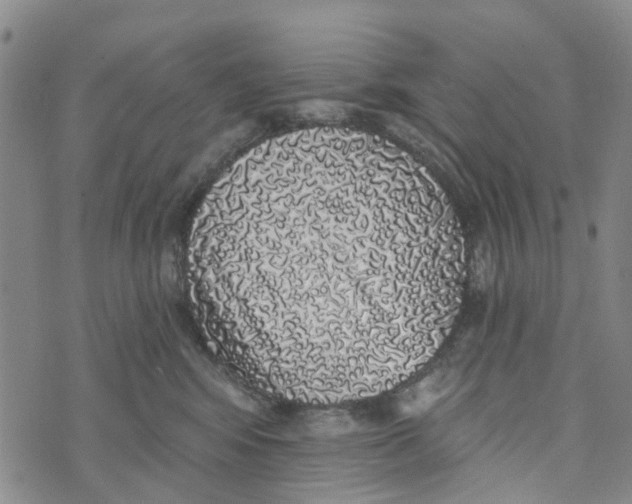 X0000072510424200608041511