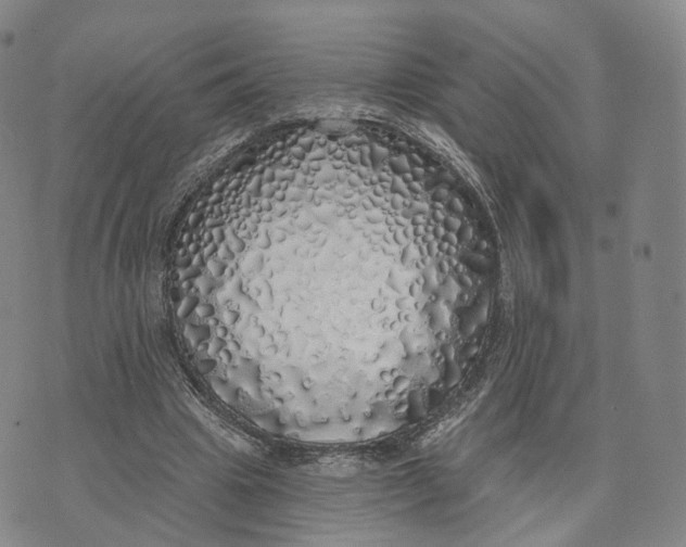 X0000072510441200608041510