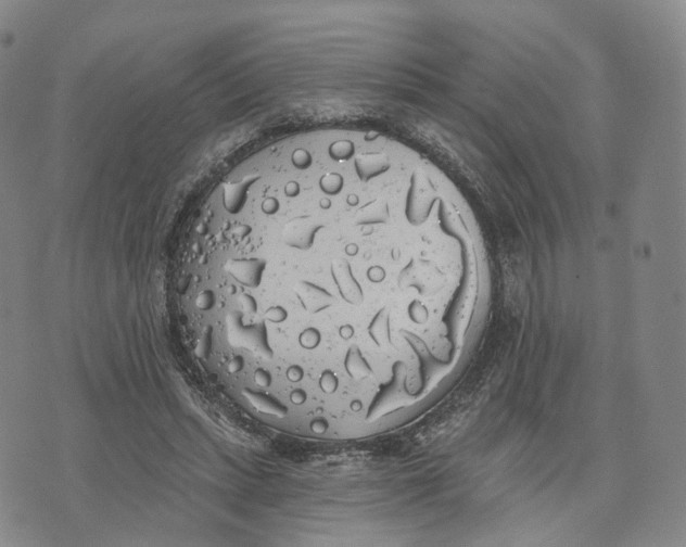 X0000072510447200608041510