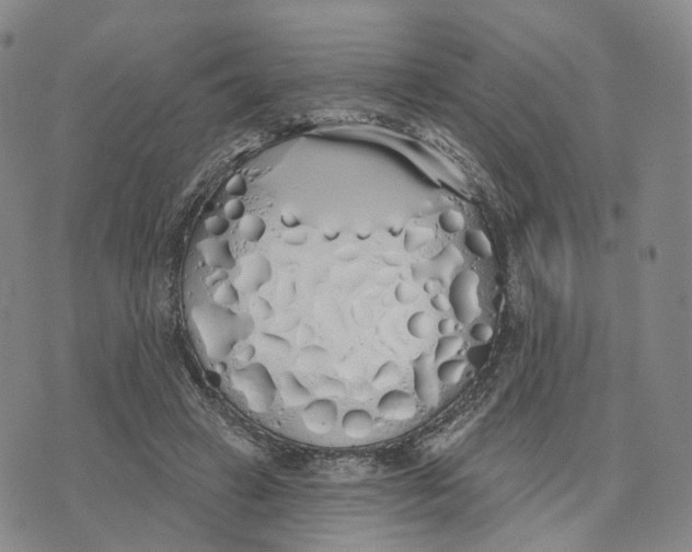 X0000072510449200608041510