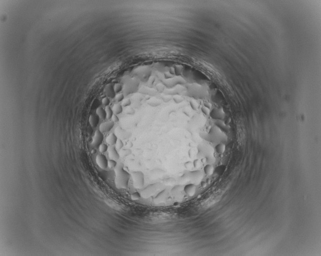 X0000072510453200608041511
