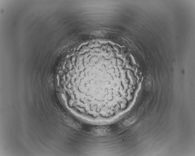 X0000072510466200608041511