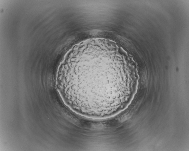 X0000072510470200608041511