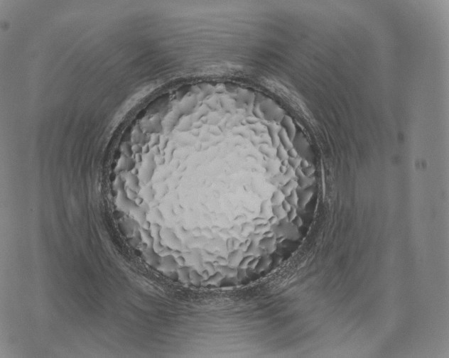 X0000072510483200608041510