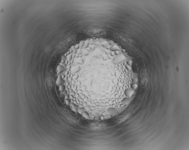 X0000072510515200608041510
