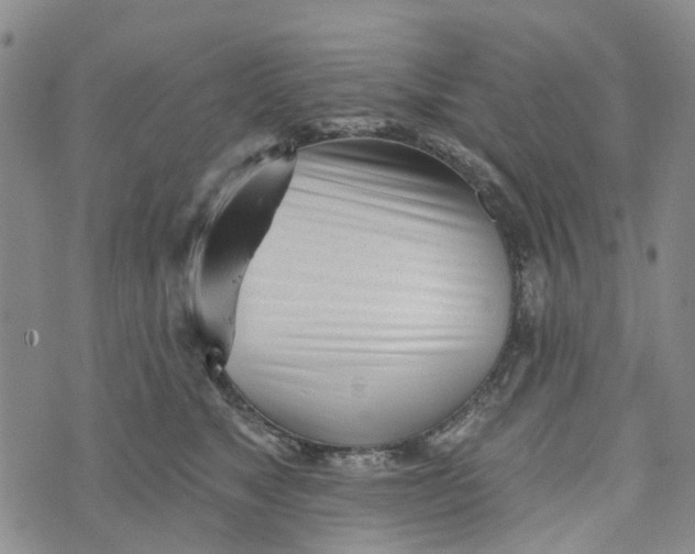 X0000072510517200608041510