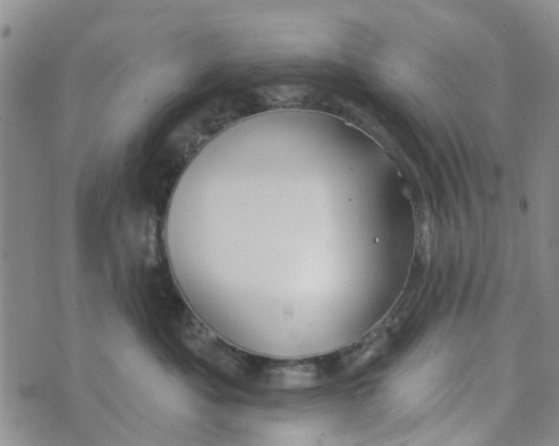 X0000072510525200608041509