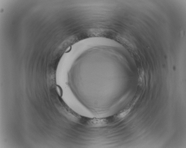 X0000072510526200608041509