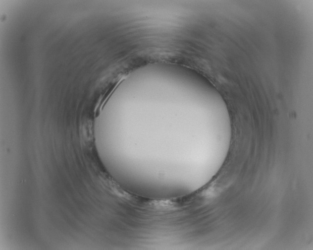 X0000072510528200608041509