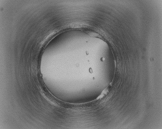 X0000072510530200608041509