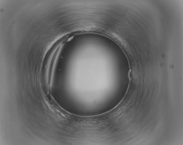 X0000072510532200608041509