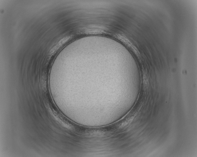 X0000072510533200608041509