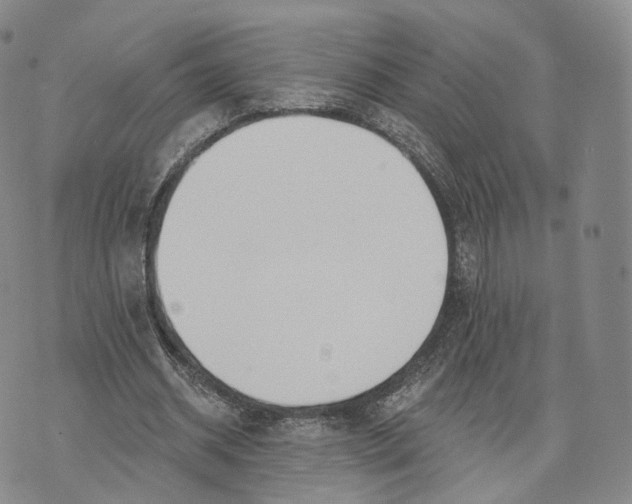 X0000072510534200608041509