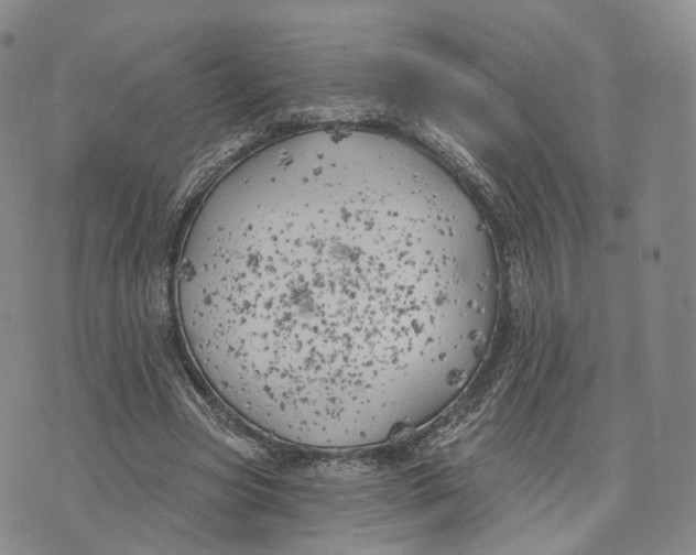 X0000072510537200608041509