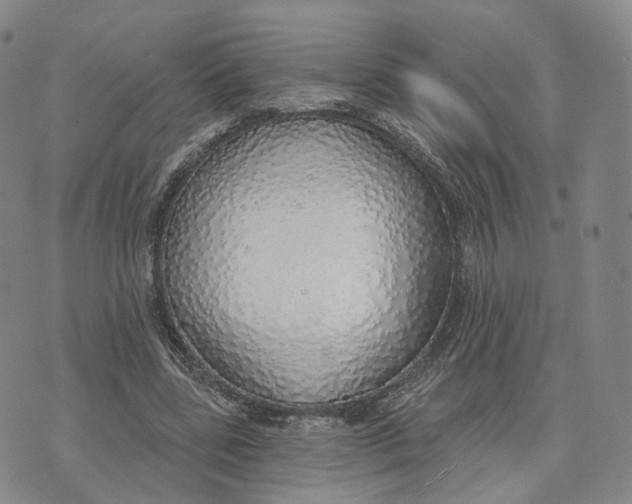 X0000072510539200608041509