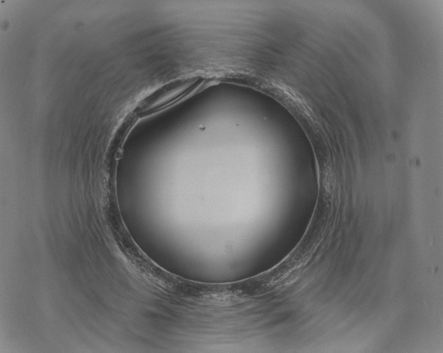 X0000072510540200608041509