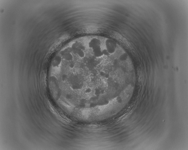 X0000072510542200608041509