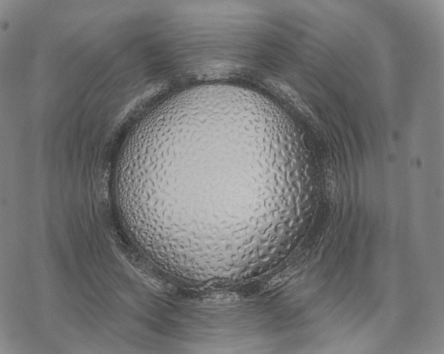 X0000072510543200608041509