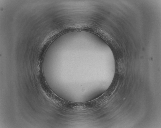 X0000072510544200608041509