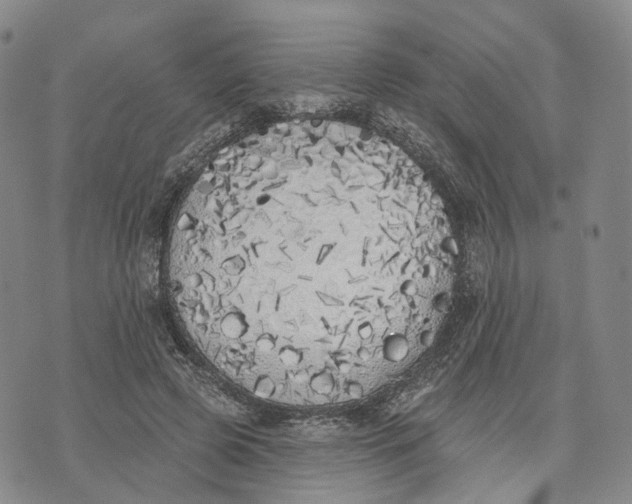 X0000072510545200608041509