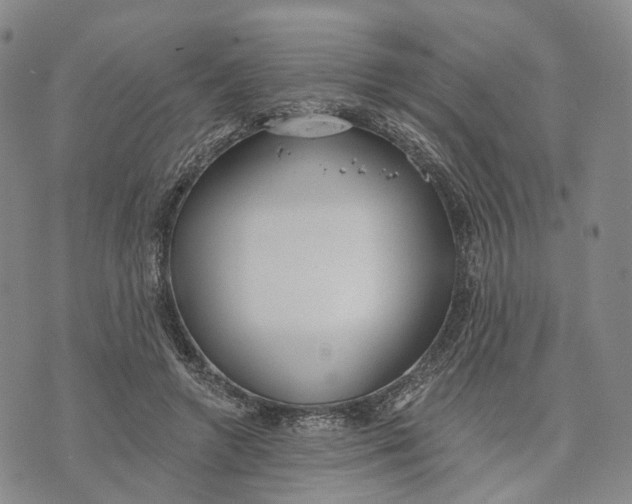 X0000072510546200608041509