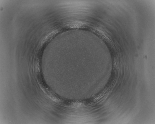 X0000072510547200608041509