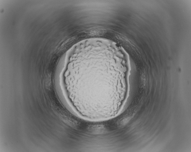 X0000072510554200608041509