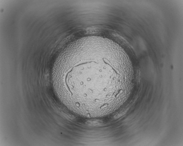 X0000072510557200608041509