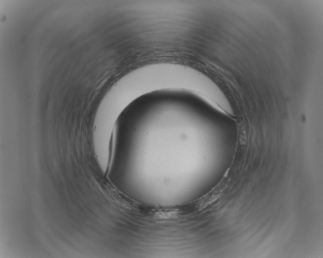 X0000072510560200608041509