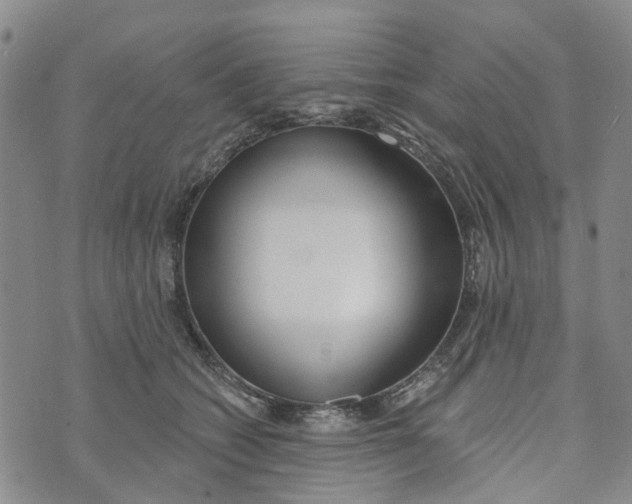 X0000072510562200608041509