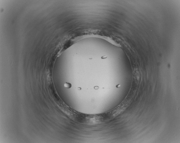 X0000072510564200608041509