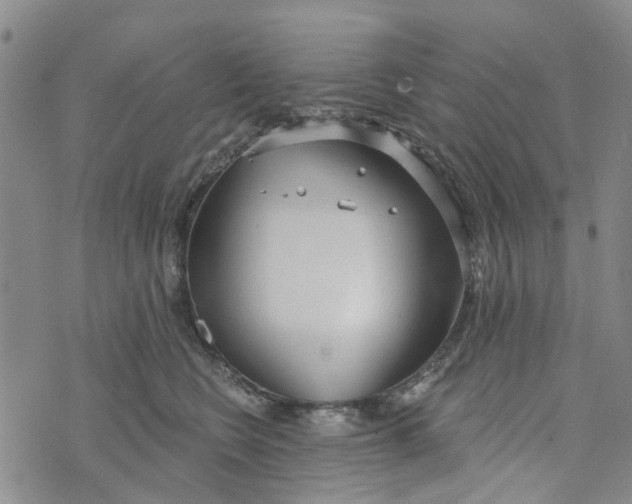 X0000072510566200608041509