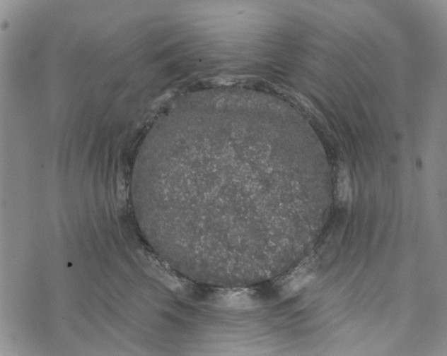 X0000072510569200608041509