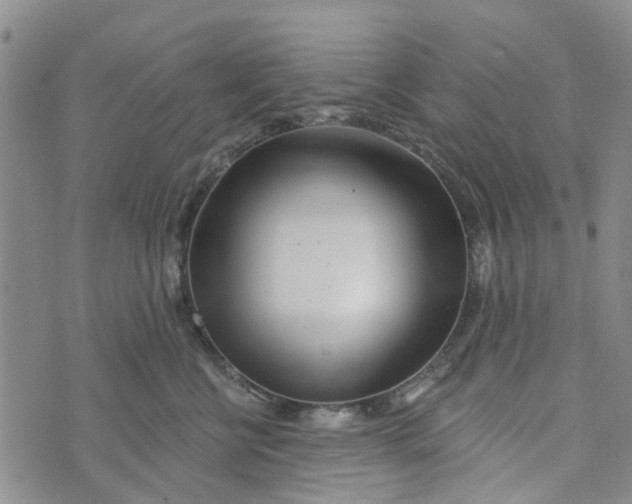 X0000072510570200608041509