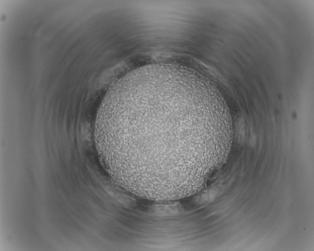 X0000072510571200608041509
