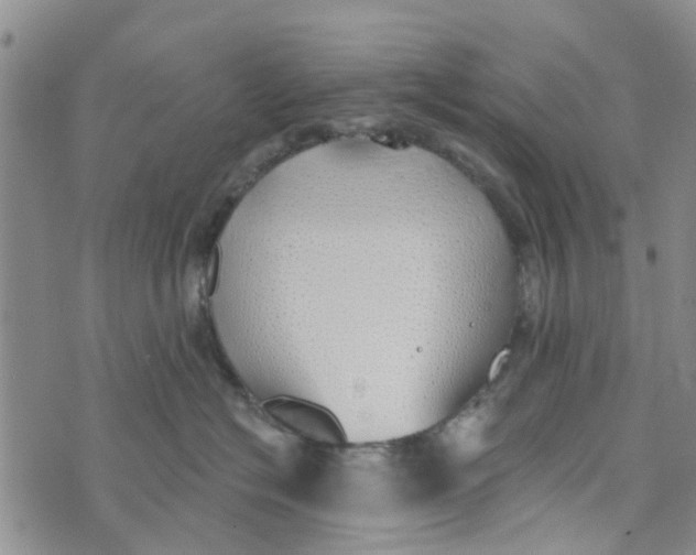 X0000072510574200608041509