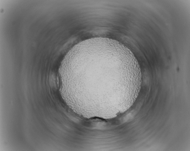 X0000072510575200608041509