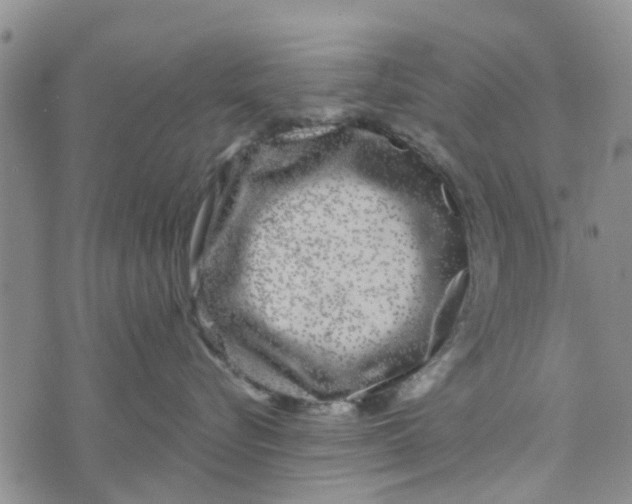 X0000072510576200608041509