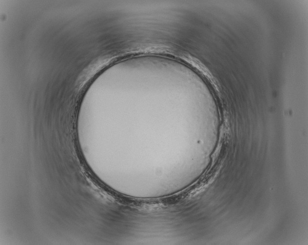 X0000072510577200608041509