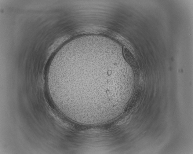 X0000072510578200608041509