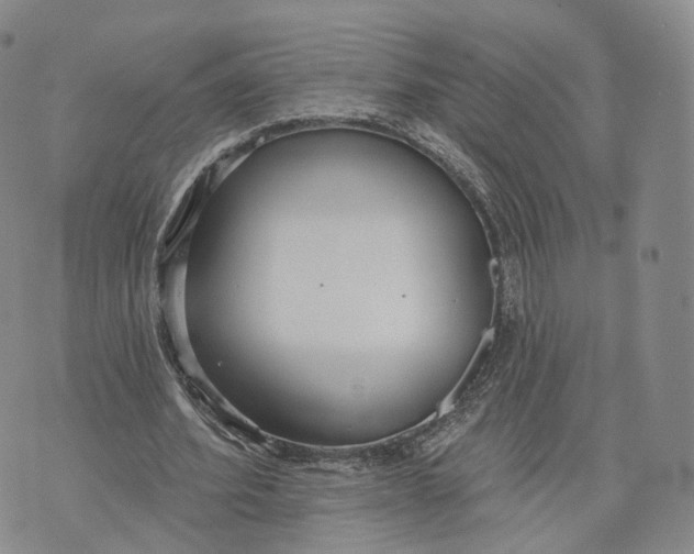 X0000072510580200608041509