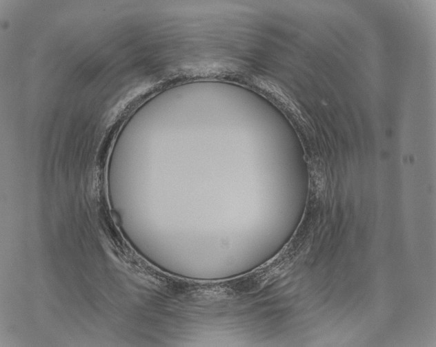 X0000072510583200608041509