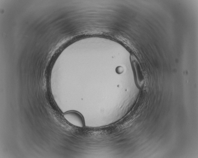 X0000072510584200608041509