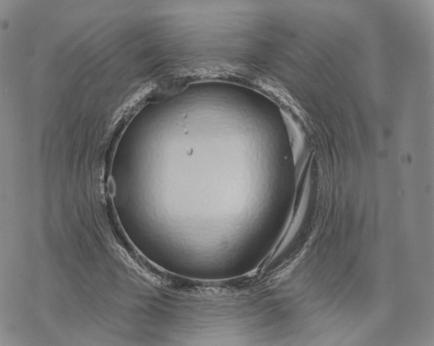 X0000072510585200608041509