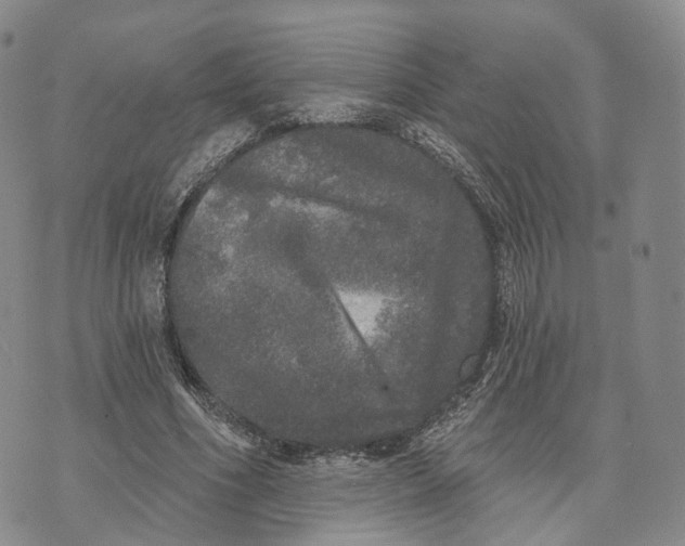 X0000072510586200608041508