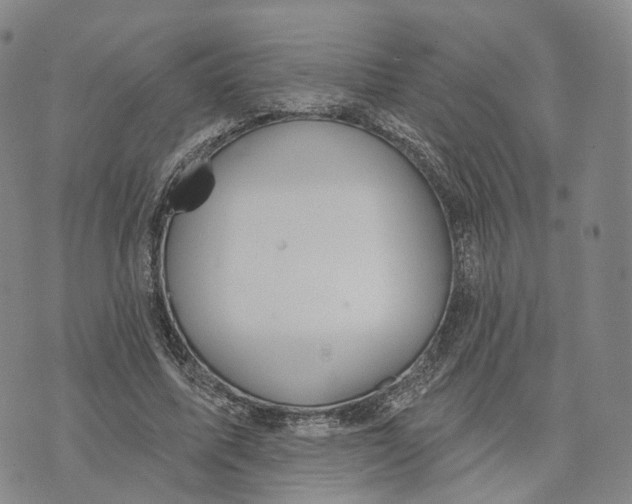 X0000072510587200608041508