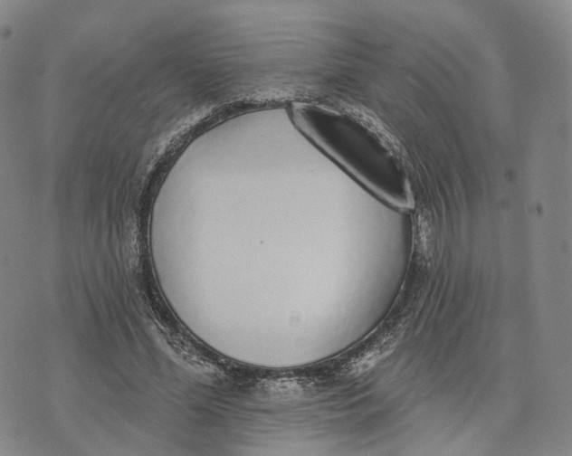 X0000072510588200608041508