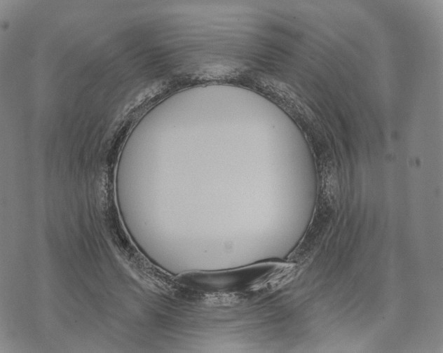 X0000072510591200608041508